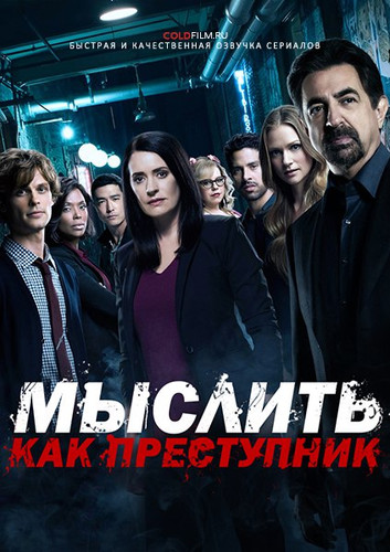 Мыслить как преступник 12 сезон 14 серия [Смотреть Онлайн]